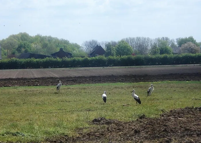 Am Damm * Wesel (North Rhine-Westphalia)